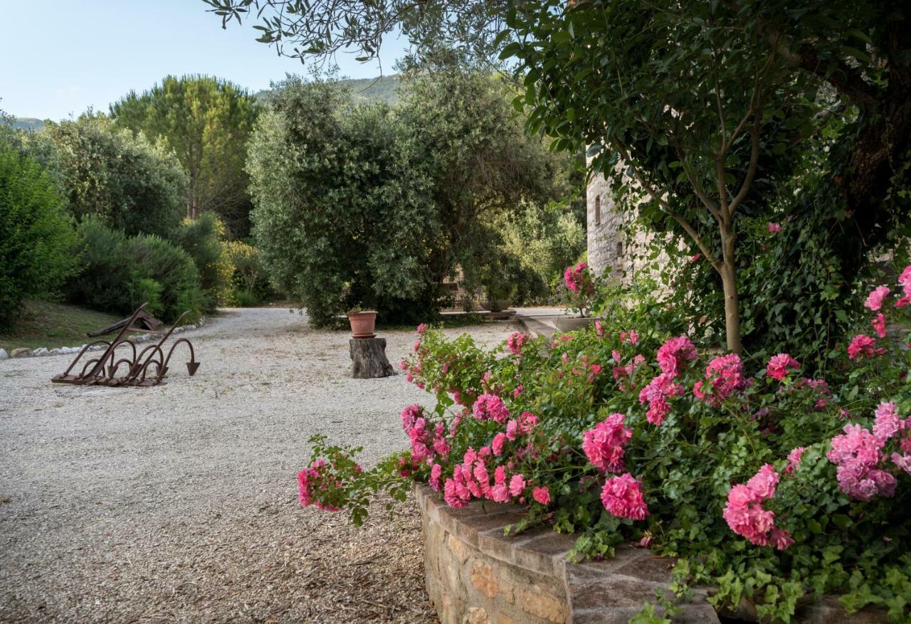 Agriturismo Il Giardino Dei Ciliegi Passaggio di Assisi Luaran gambar